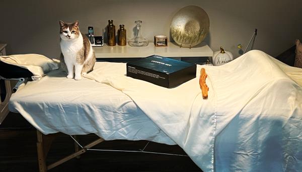 /Images/uploads/The Murphee and Sugar Angel Foundation/murpheeandsugar-pet-photo-contest-fundraiser/entries/27840thumb.jpg